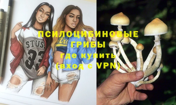 ГАЛЛЮЦИНОГЕННЫЕ ГРИБЫ Абинск