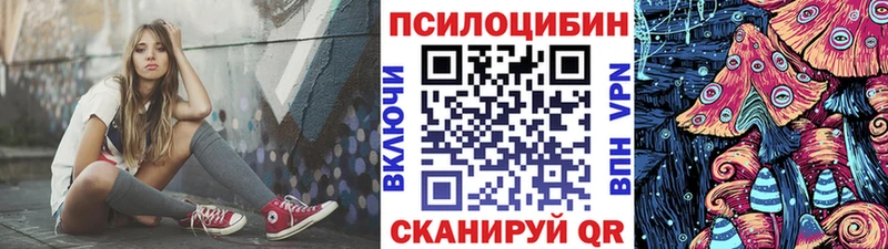 это клад  где найти   Старая Купавна  Псилоцибиновые грибы GOLDEN TEACHER 